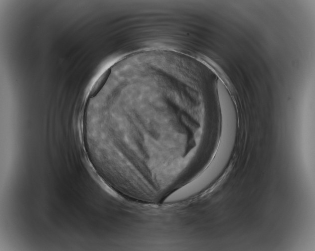 X0000086220812200704261835