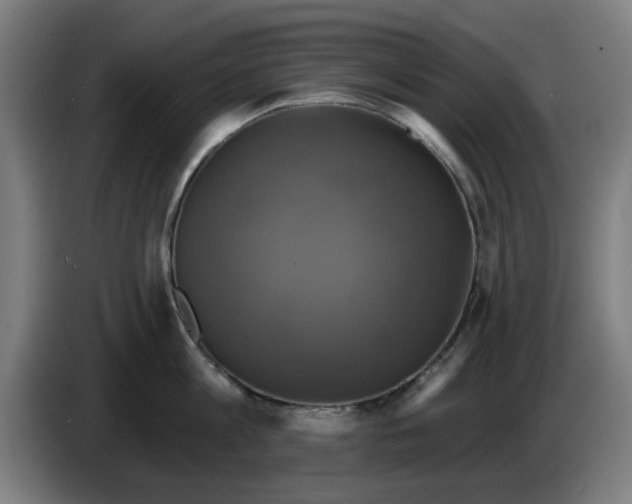 X0000086220813200704261835