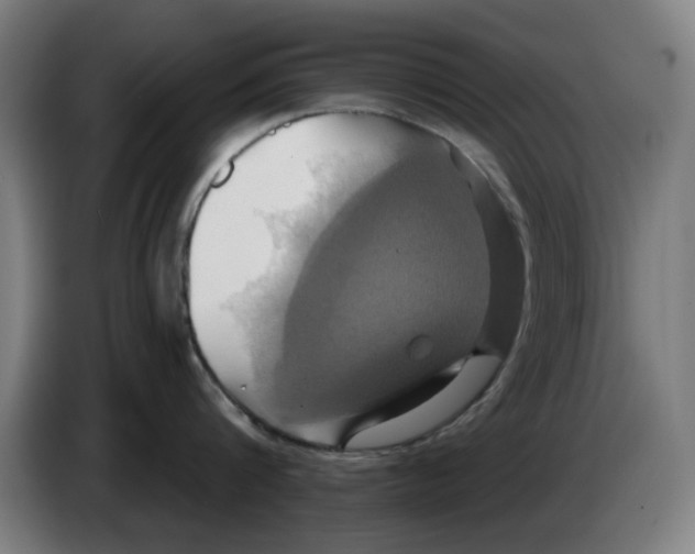 X0000086220816200704261835