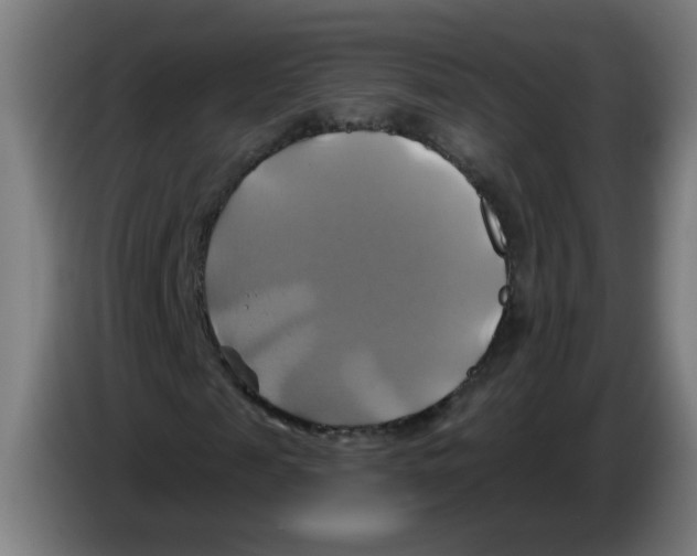 X0000086220817200704261834