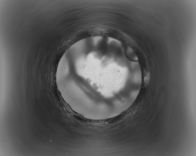 X0000086220819200704261834