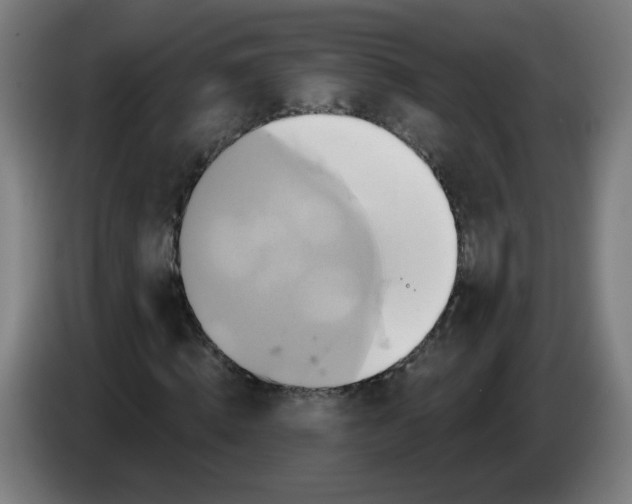 X0000086220820200704261834