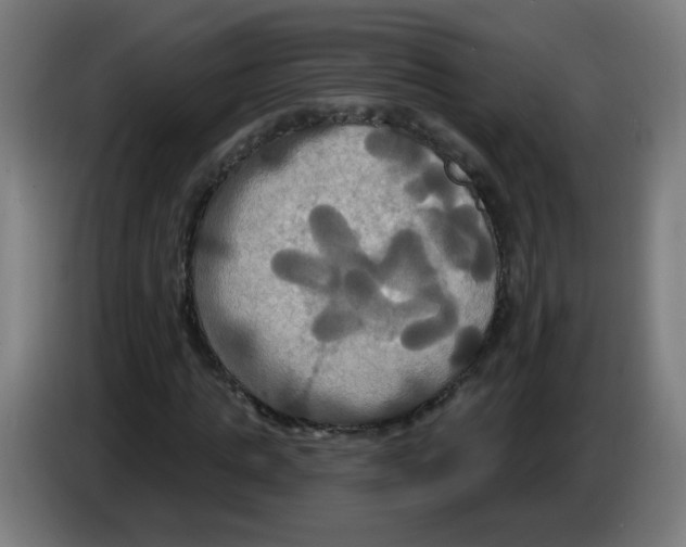 X0000086220821200704261834