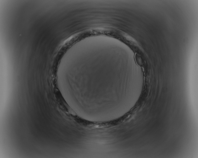 X0000086220822200704261834