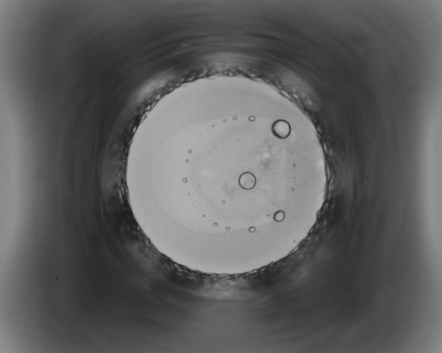 X0000086220824200704261834