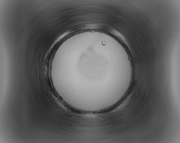 X0000086220827200704261834