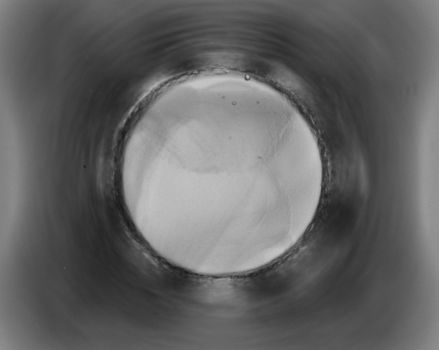 X0000086220828200704261834