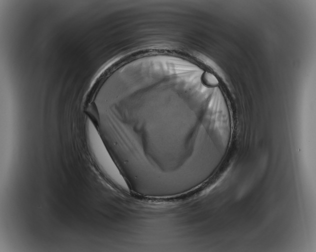 X0000086220829200704261834