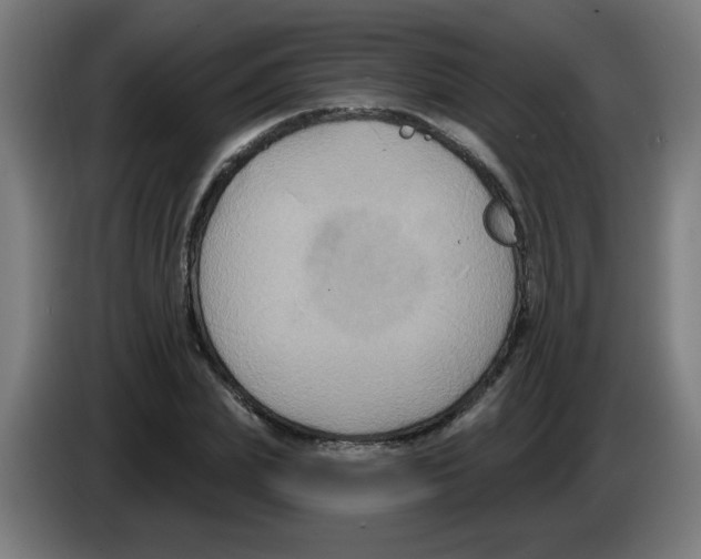 X0000086220831200704261834