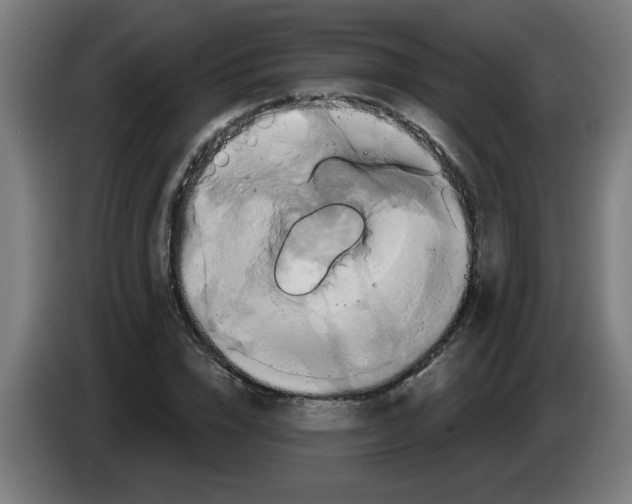 X0000086220832200704261834