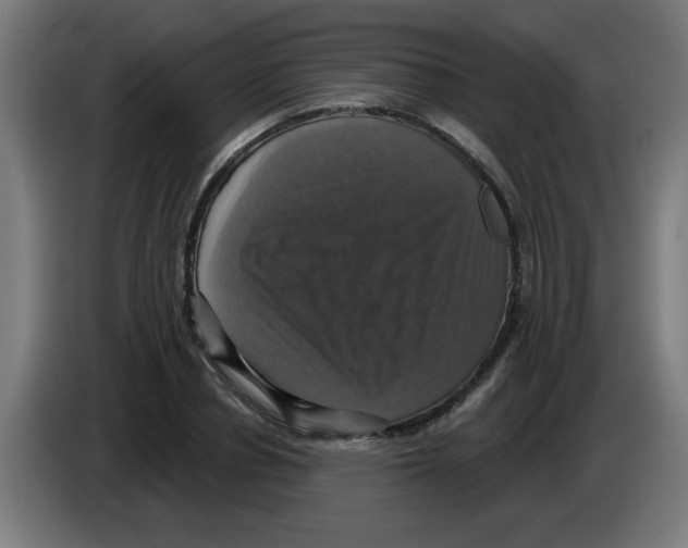 X0000086220834200704261834