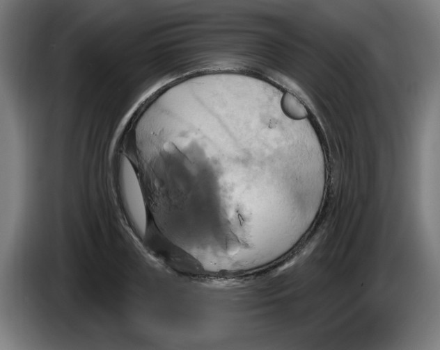 X0000086220835200704261834