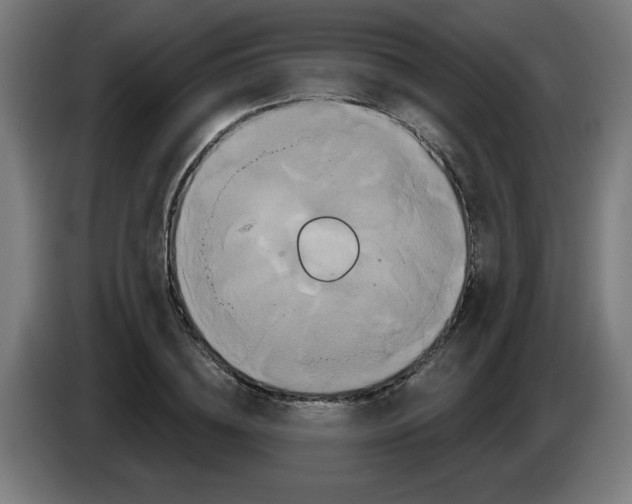 X0000086220836200704261834