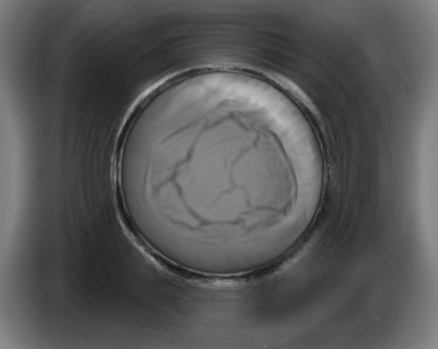 X0000086220839200704261834