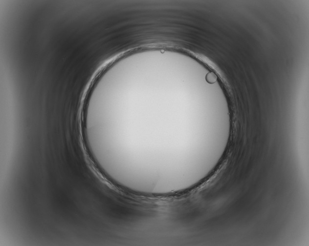 X0000086220840200704261834