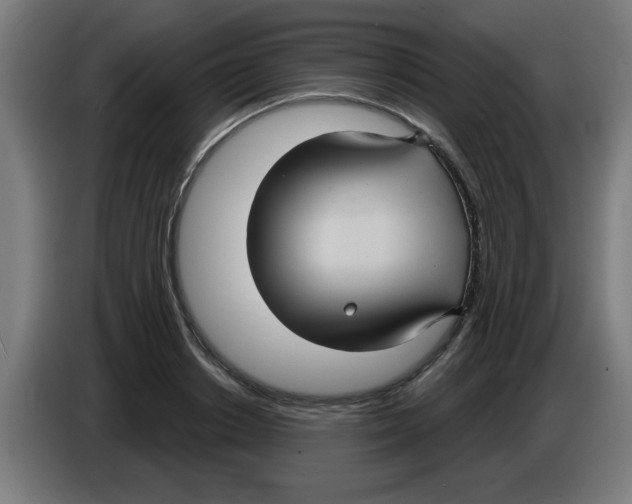 X0000086220842200704261834