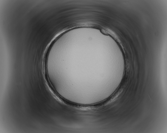 X0000086220843200704261834