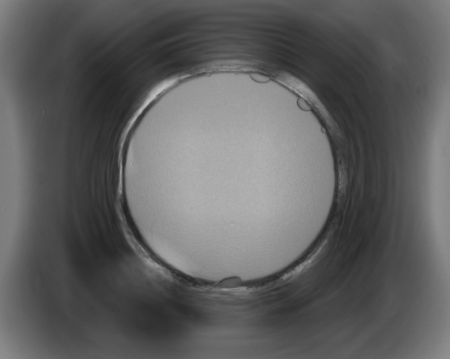 X0000086220844200704261834