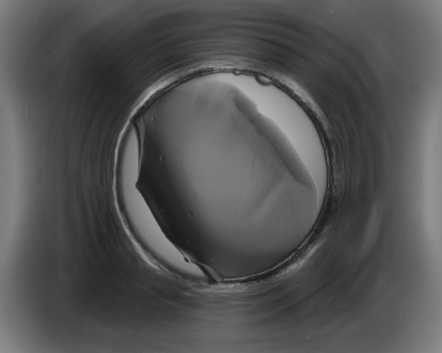 X0000086220845200704261835