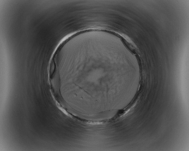 X0000086220846200704261835