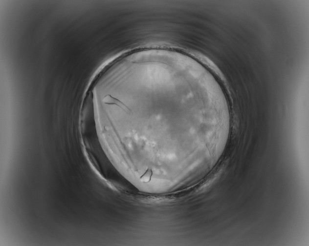 X0000086220847200704261835