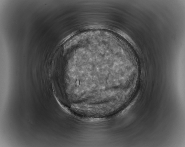 X0000086220849200704261835