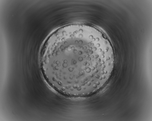 X0000086220851200704261835