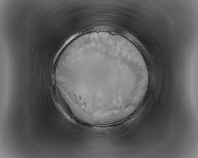 X0000086220852200704261835