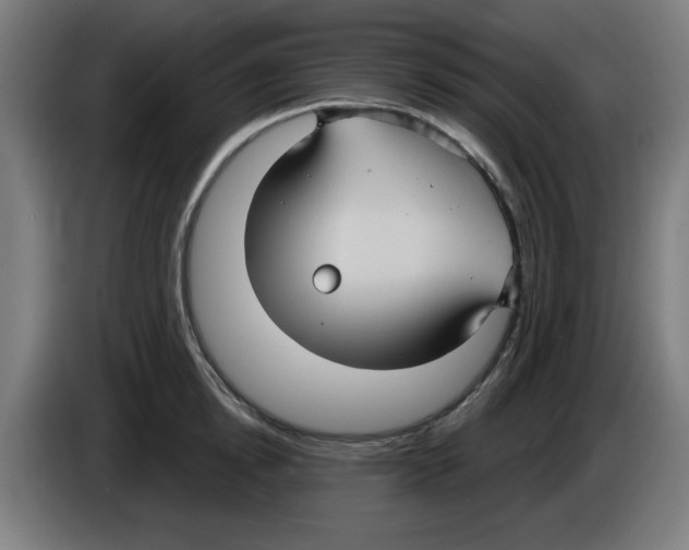 X0000086220854200704261835