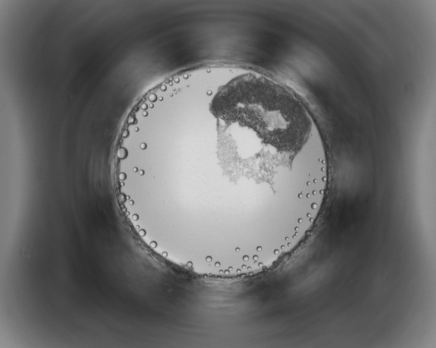 X0000086220856200704261835