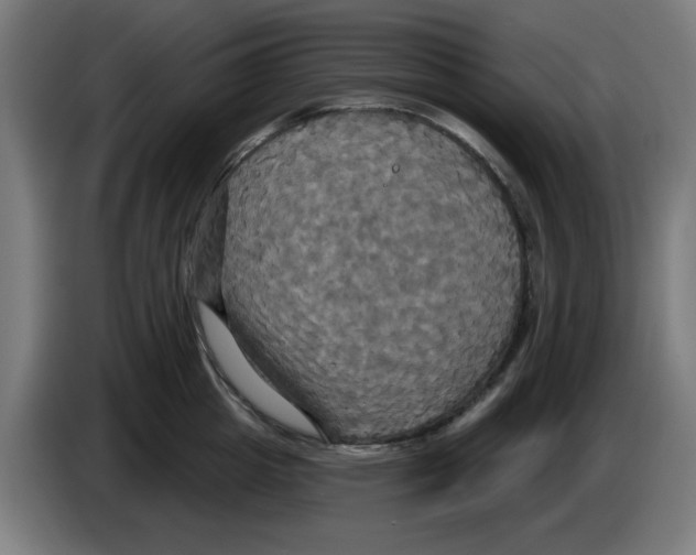 X0000086220857200704261835