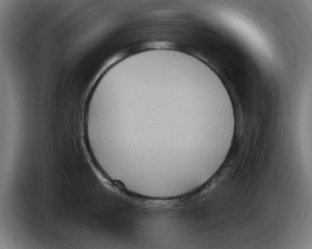 X0000086220861200704261835