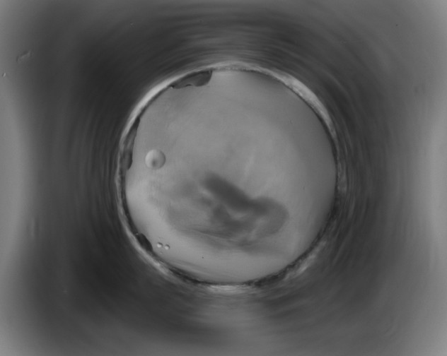 X0000086220863200704261835