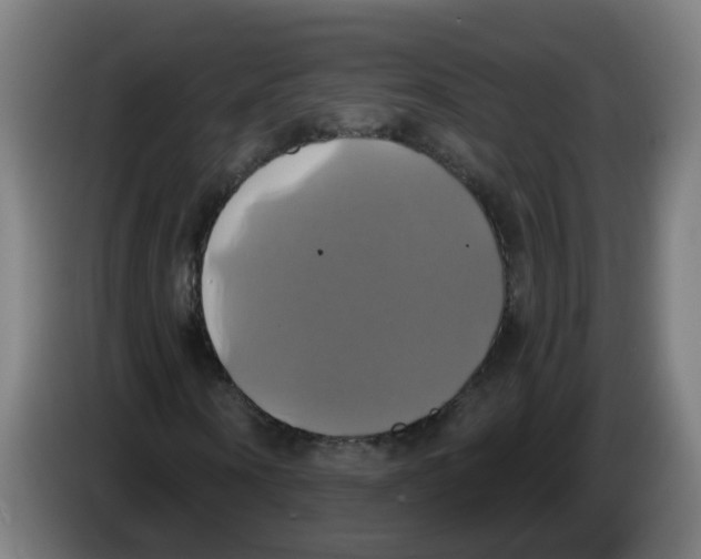 X0000086220866200704261834