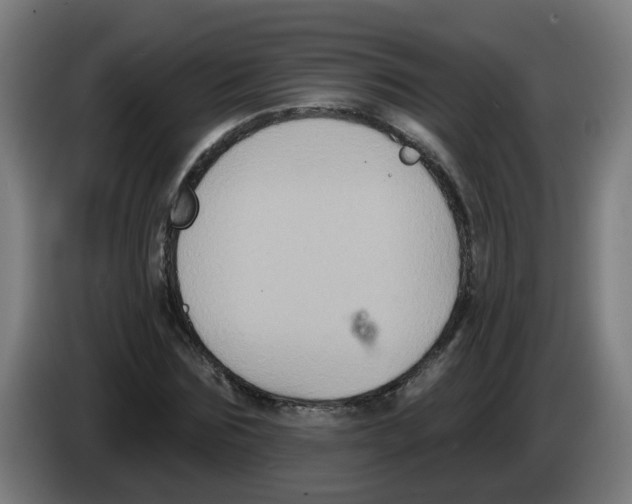 X0000086220875200704261834