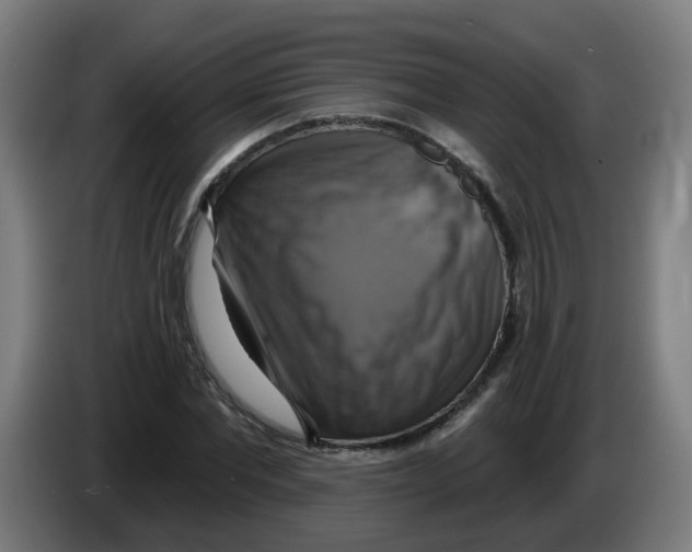 X0000086220877200704261834