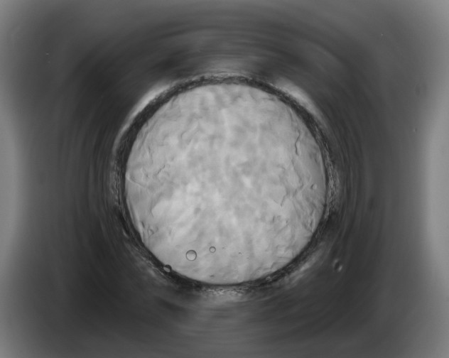 X0000086220878200704261834