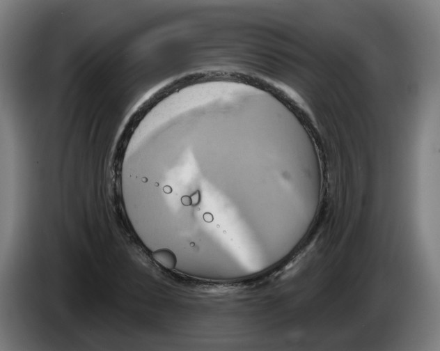 X0000086220879200704261834