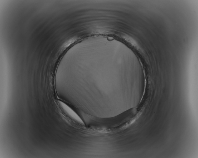 X0000086220881200704261834