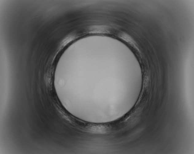 X0000086220882200704261834