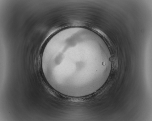 X0000086220886200704261834