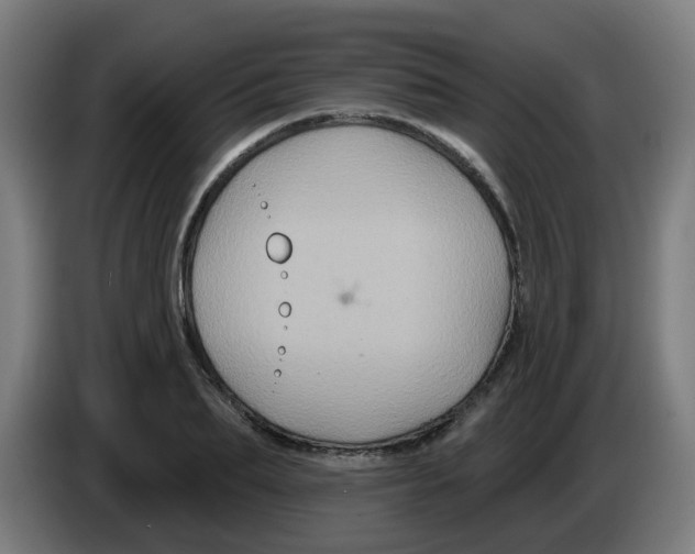 X0000086220887200704261834