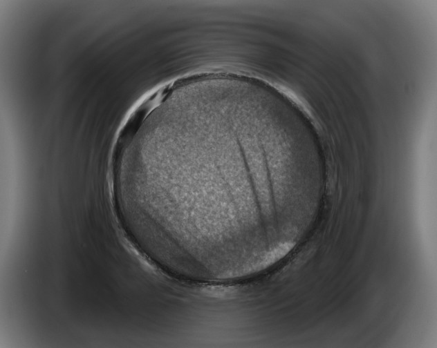 X0000086220888200704261834