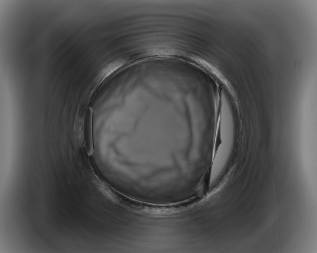 X0000086220889200704261834