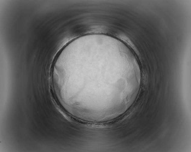 X0000086220890200704261834