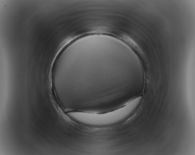 X0000086220892200704261834