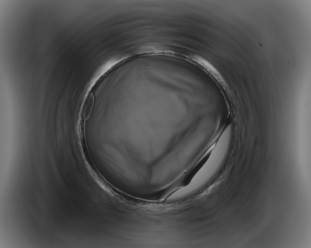 X0000086220893200704261834