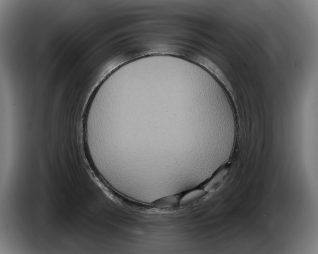 X0000086220898200704261834