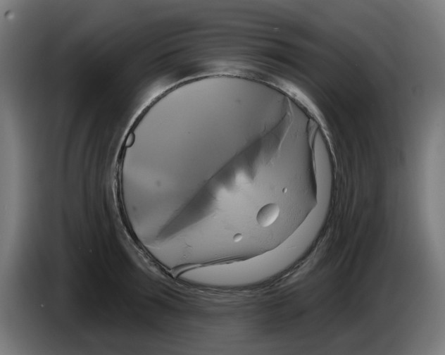 X0000086220899200704261834