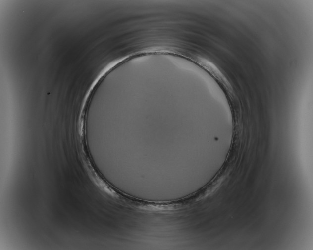 X0000086220900200704261834